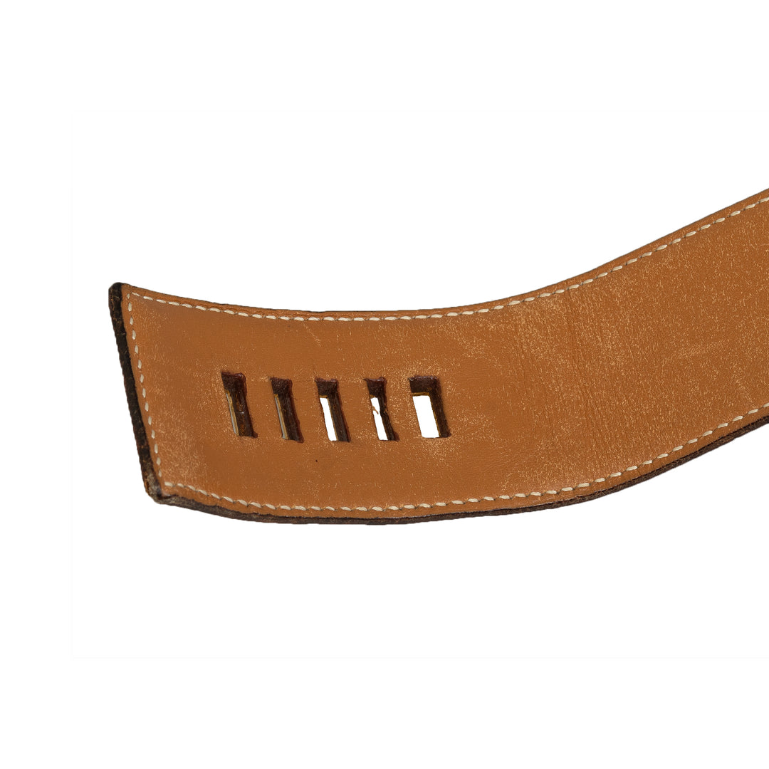 Collier de Chien Belt Brown - Gaby Paris