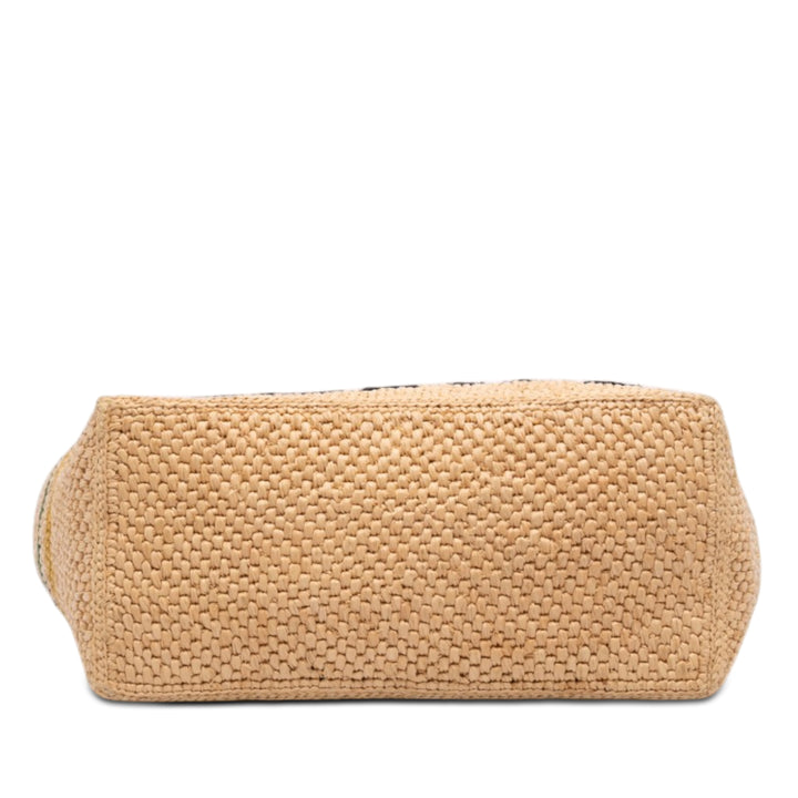 LOEWE Paulas Ibiza Medium Raffia Striped Font Cabas