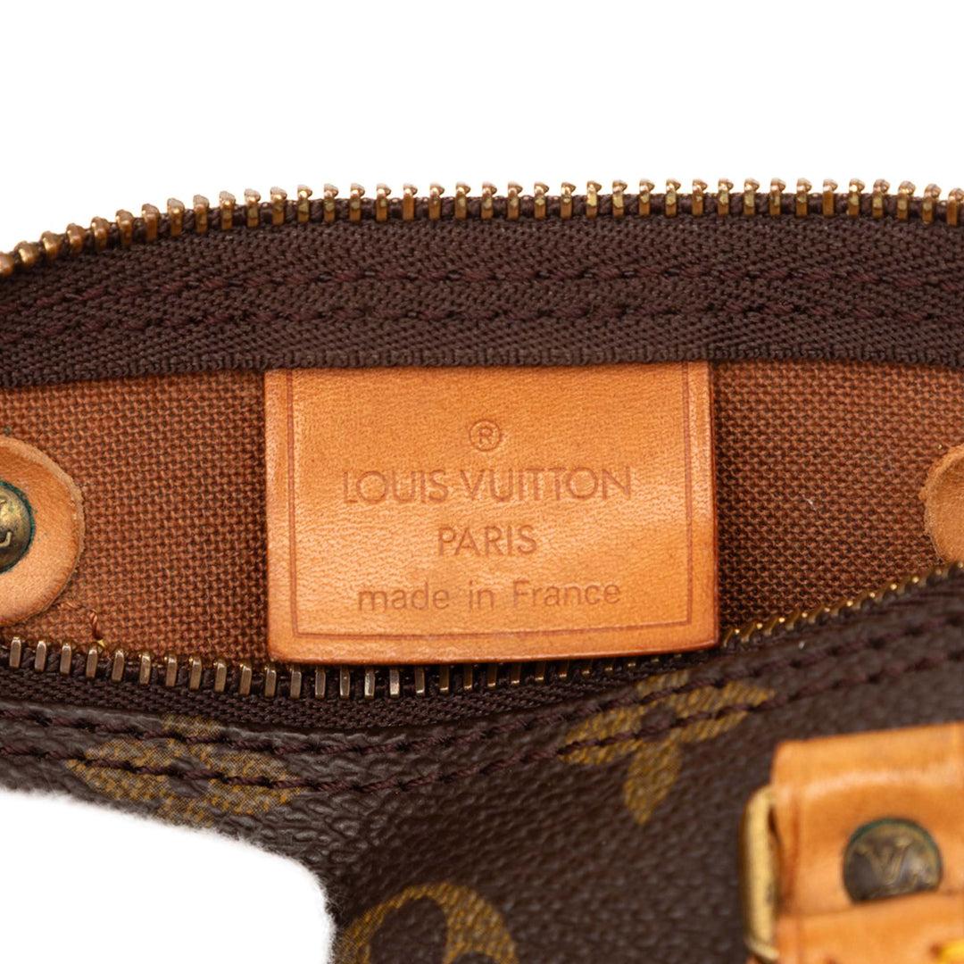 Louis Vuitton Monogram Nano Speedy Bandouliere