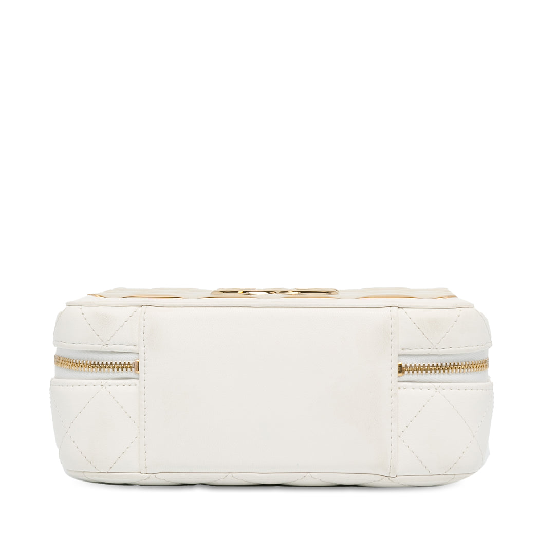 Medium Lambskin Golden Plate Vanity Case Gold - Gaby Paris