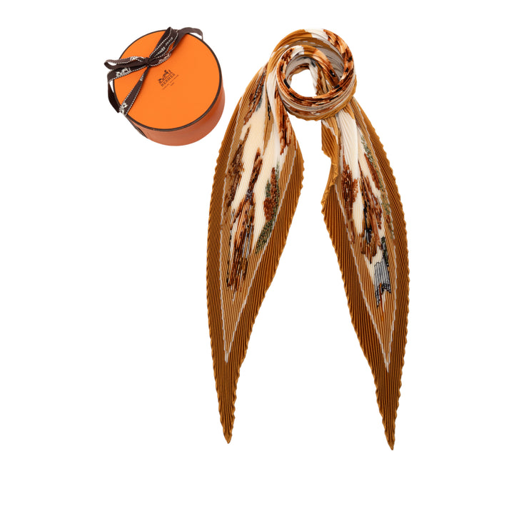 Hermès Confidents Des Coeurs Pleated Soie Foulard