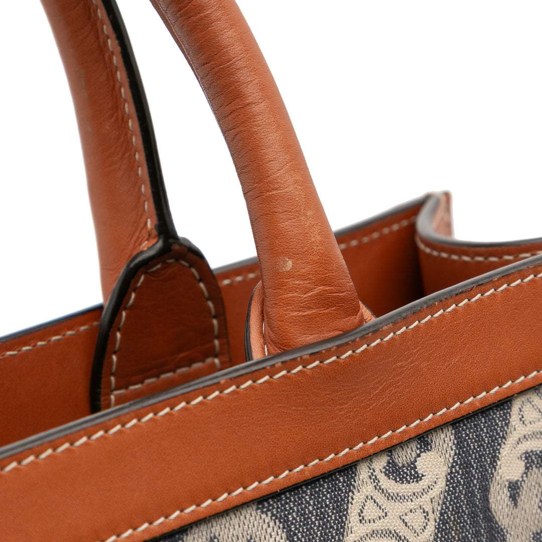 Celine Small Triomphe Toile Maillon Cabas vertical