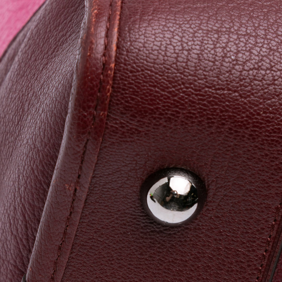 Tricolor Goatskin Amazona 36 Pink - Gaby Paris