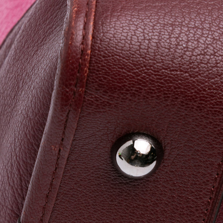 Tricolor Goatskin Amazona 36 Pink - Gaby Paris