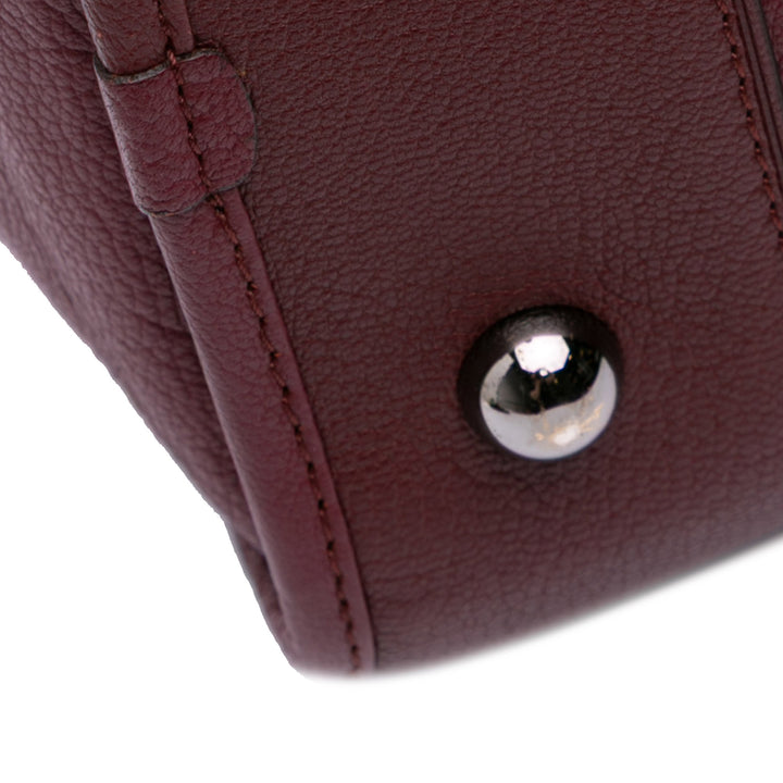 Tricolor Goatskin Amazona 36 Pink - Gaby Paris