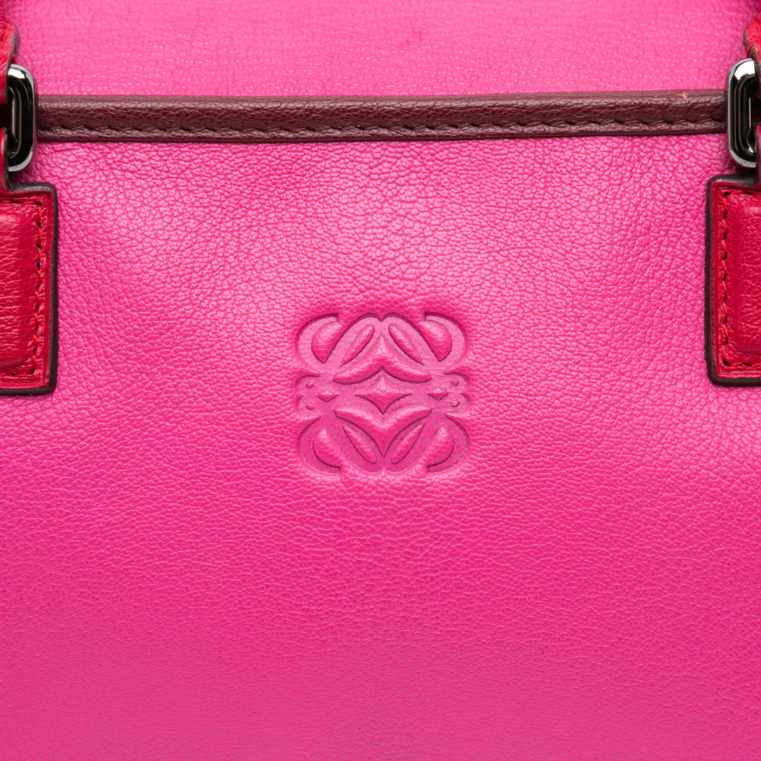Tricolor Goatskin Amazona 36 Pink - Gaby Paris