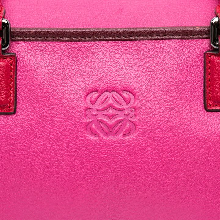 Tricolor Goatskin Amazona 36 Pink - Gaby Paris