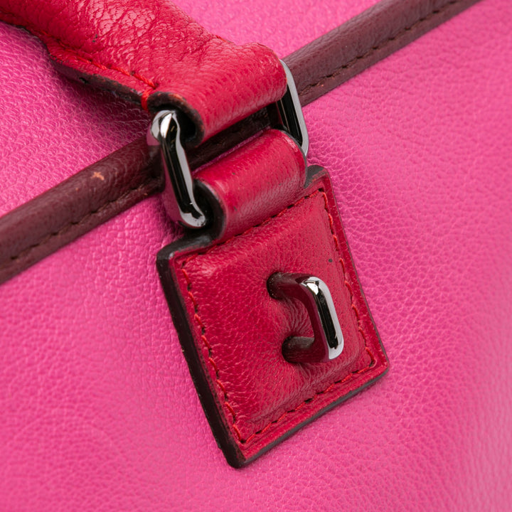 Tricolor Goatskin Amazona 36 Pink - Gaby Paris