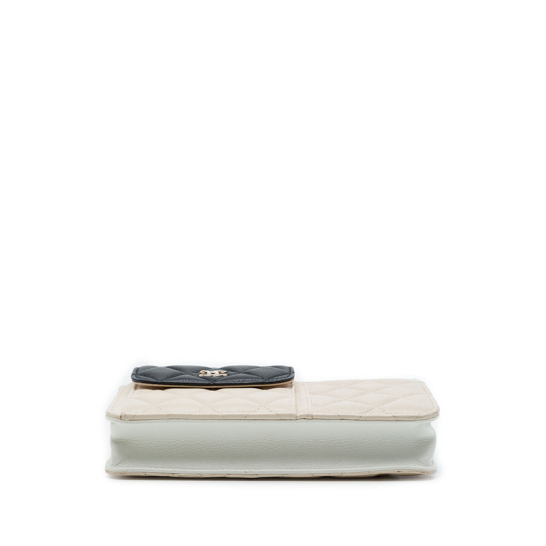 Chanel CC Tricolore Matelassé Multi Poche Wallet on Chain Cuir de chèvre Marron – vue 3 – GABY PARIS