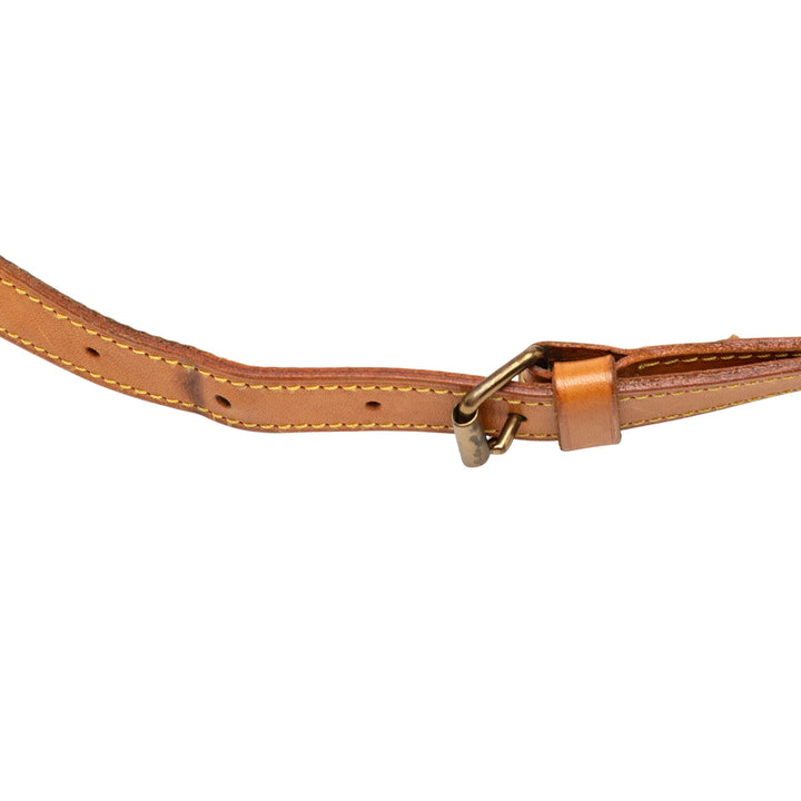 Louis Vuitton Saumur 30 Monogram Marron