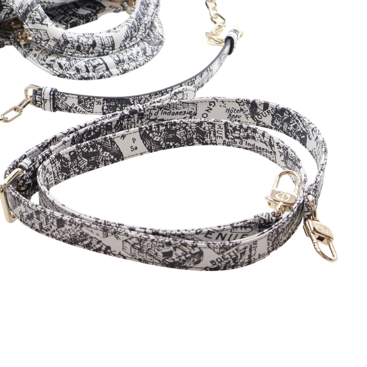 Dior Medium Cuir de veau Plan De Paris Printed Lady D Joy