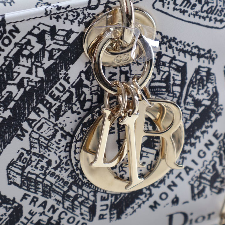 Dior Medium Cuir de veau Plan De Paris Printed Lady D Joy