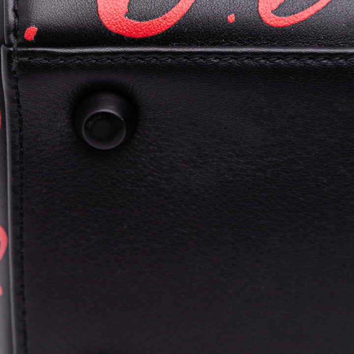 Dior Small Smooth Cuir de veau Painted Heart Clover Lady Dior