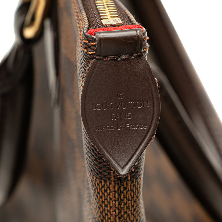 Louis Vuitton Damier Ebene Saleya PM Marron