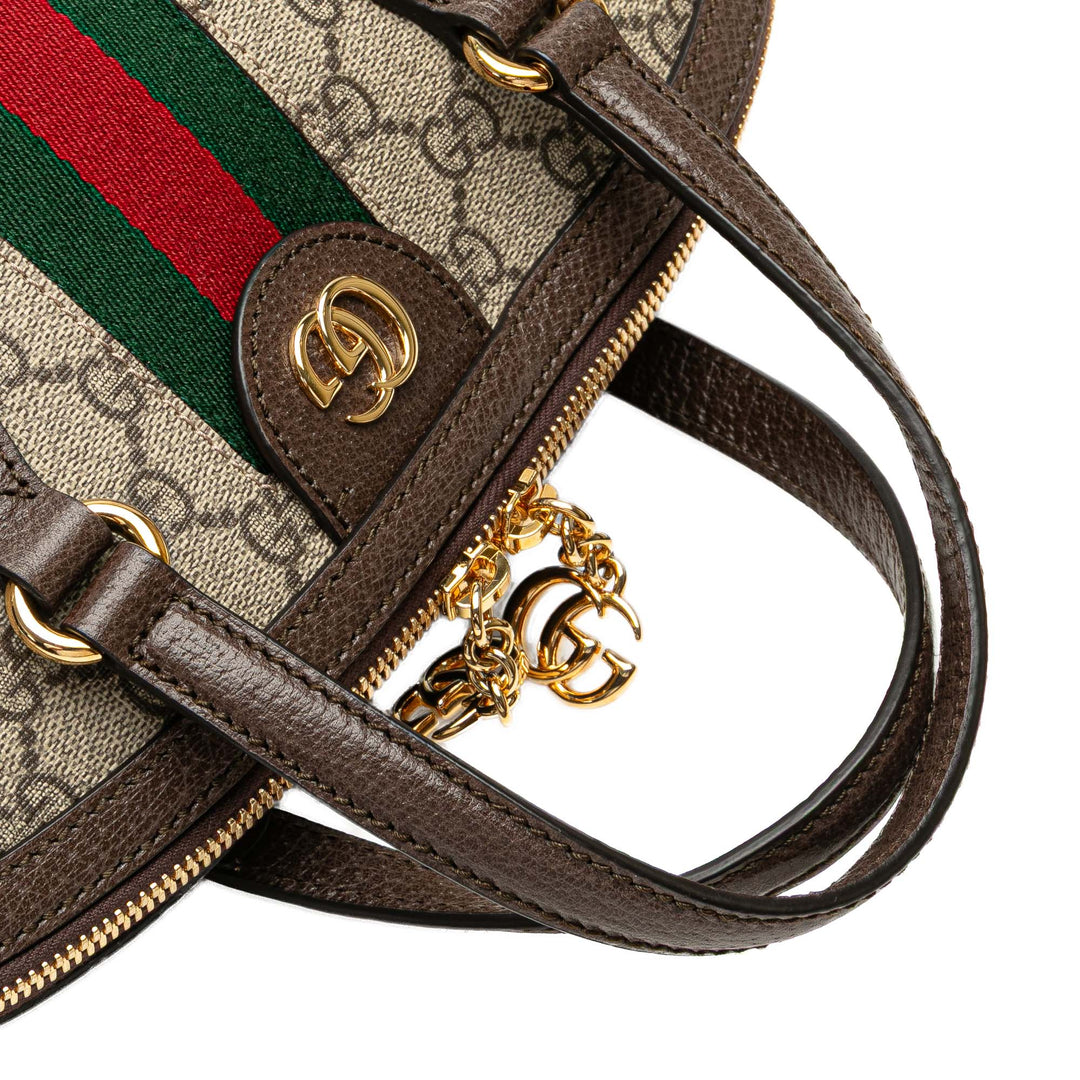Medium GG Supreme Ophidia Web Satchel Brown - Gaby Paris