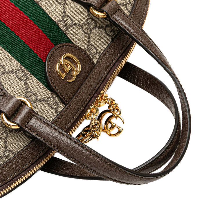 Medium GG Supreme Ophidia Web Satchel Brown - Gaby Paris
