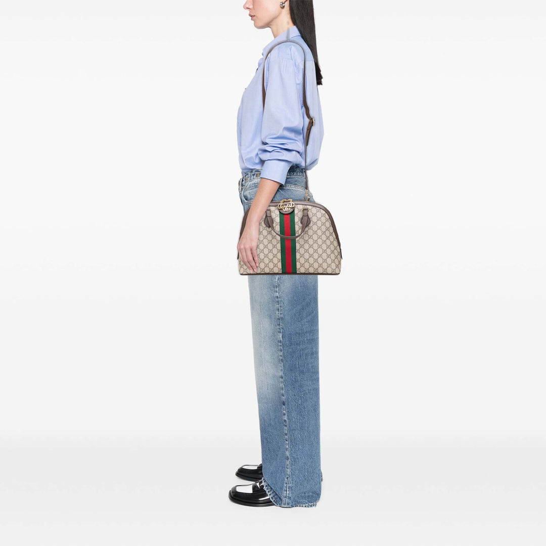 Medium GG Supreme Ophidia Web Satchel Brown - Gaby Paris