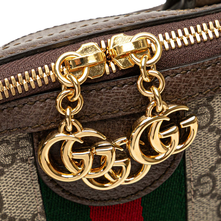 Medium GG Supreme Ophidia Web Satchel Brown - Gaby Paris
