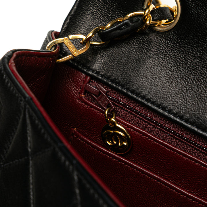 Medium Lambskin Diana Flap Black - Gaby Paris