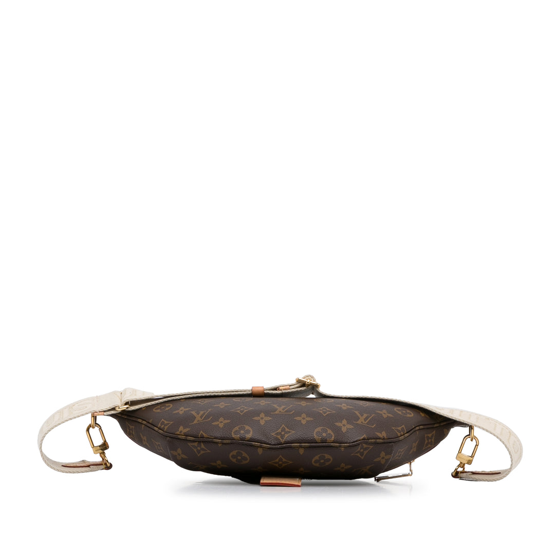 Monogram High Rise Bumbag Brown - Gaby Paris