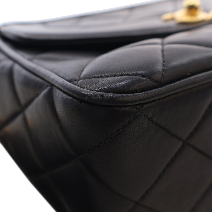 Chanel Small Matelassé Cuir d’agneau Diana Pompon Sac caméra