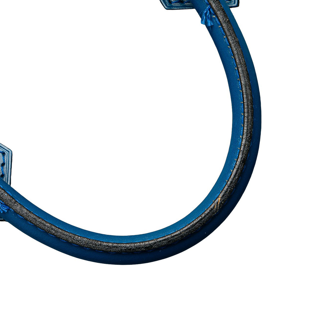 Louis Vuitton Epi Speedy 30 Bleu