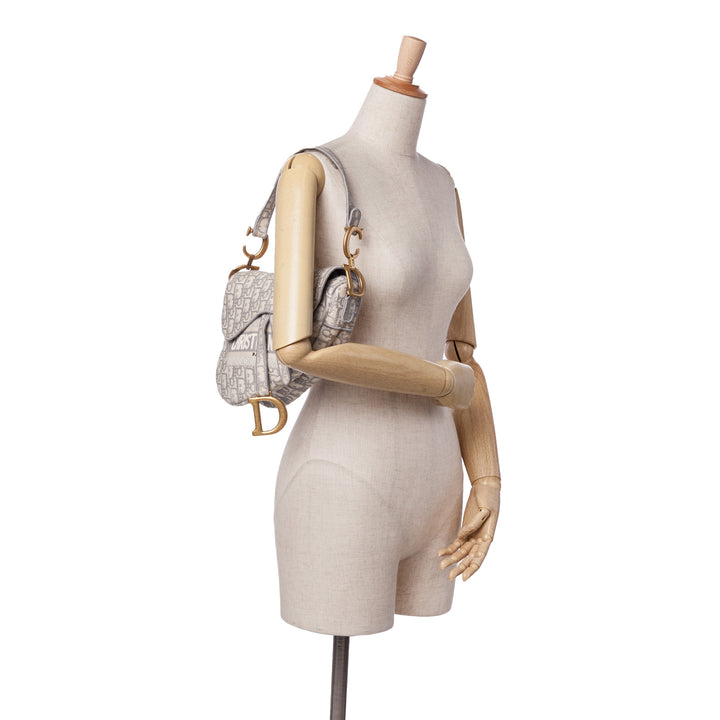 Oblique Embroidered Canvas Saddle Bag Gray - Gaby Paris