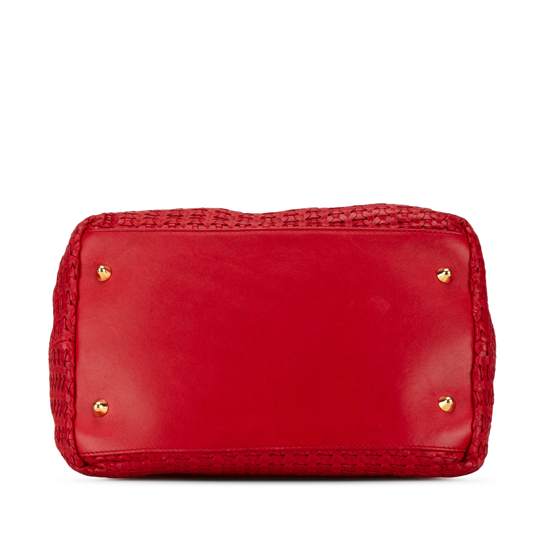 Medium Woven Soft Lady Dior Red - Gaby Paris