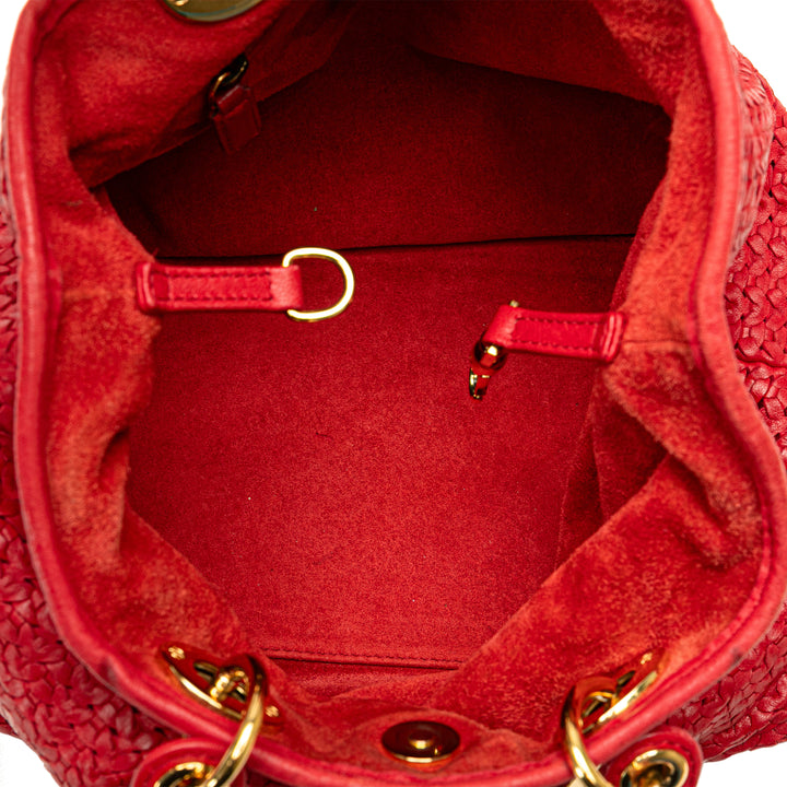 Medium Woven Soft Lady Dior Red - Gaby Paris