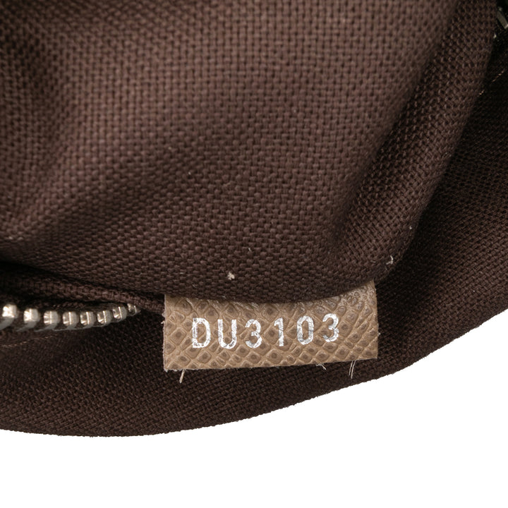 Louis Vuitton Taiga Roman PM Marron