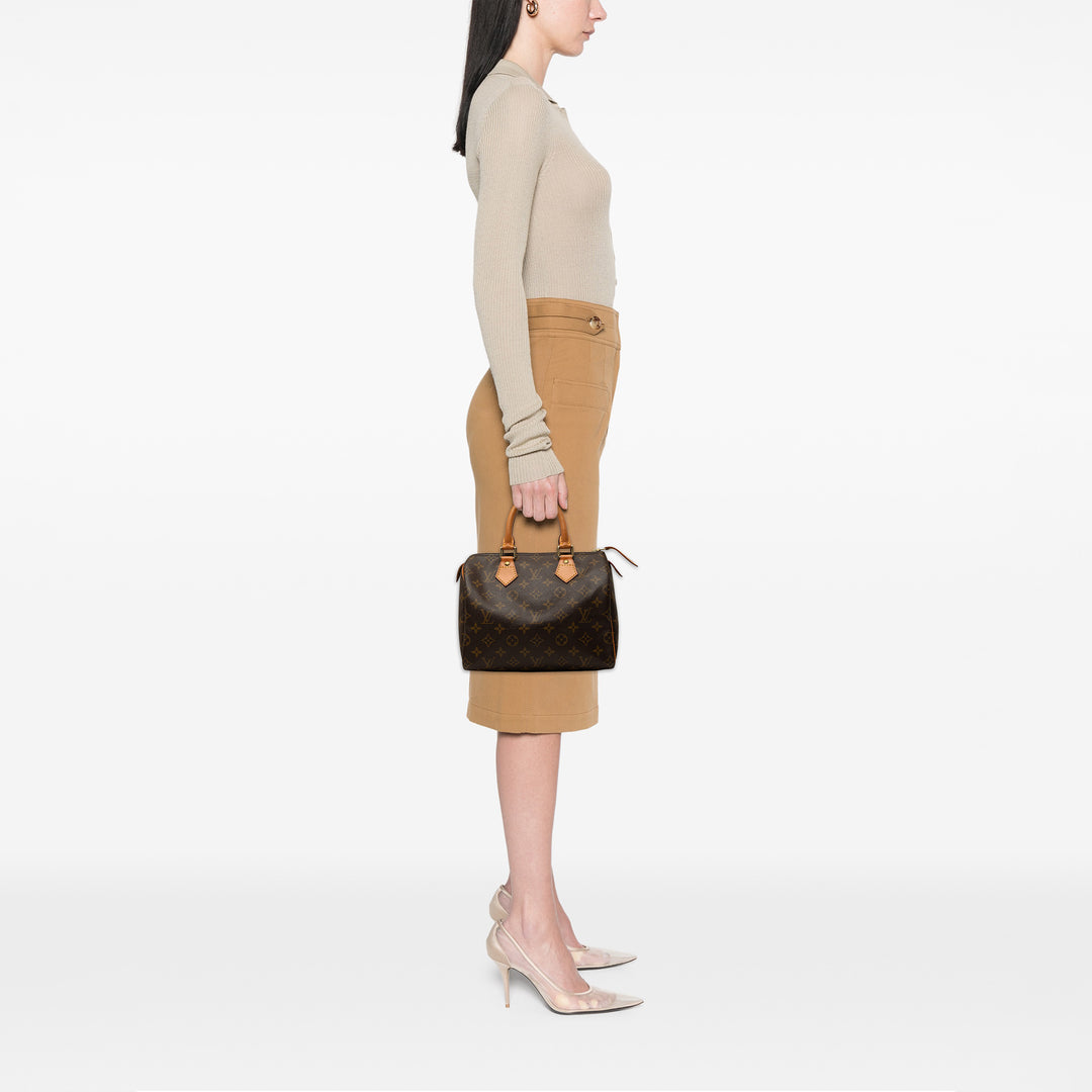 Louis Vuitton Speedy 25 Monogram Marron