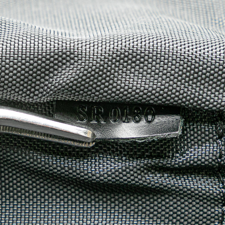 Damier Graphite Pegase Business Luggage 55 Black - Gaby Paris