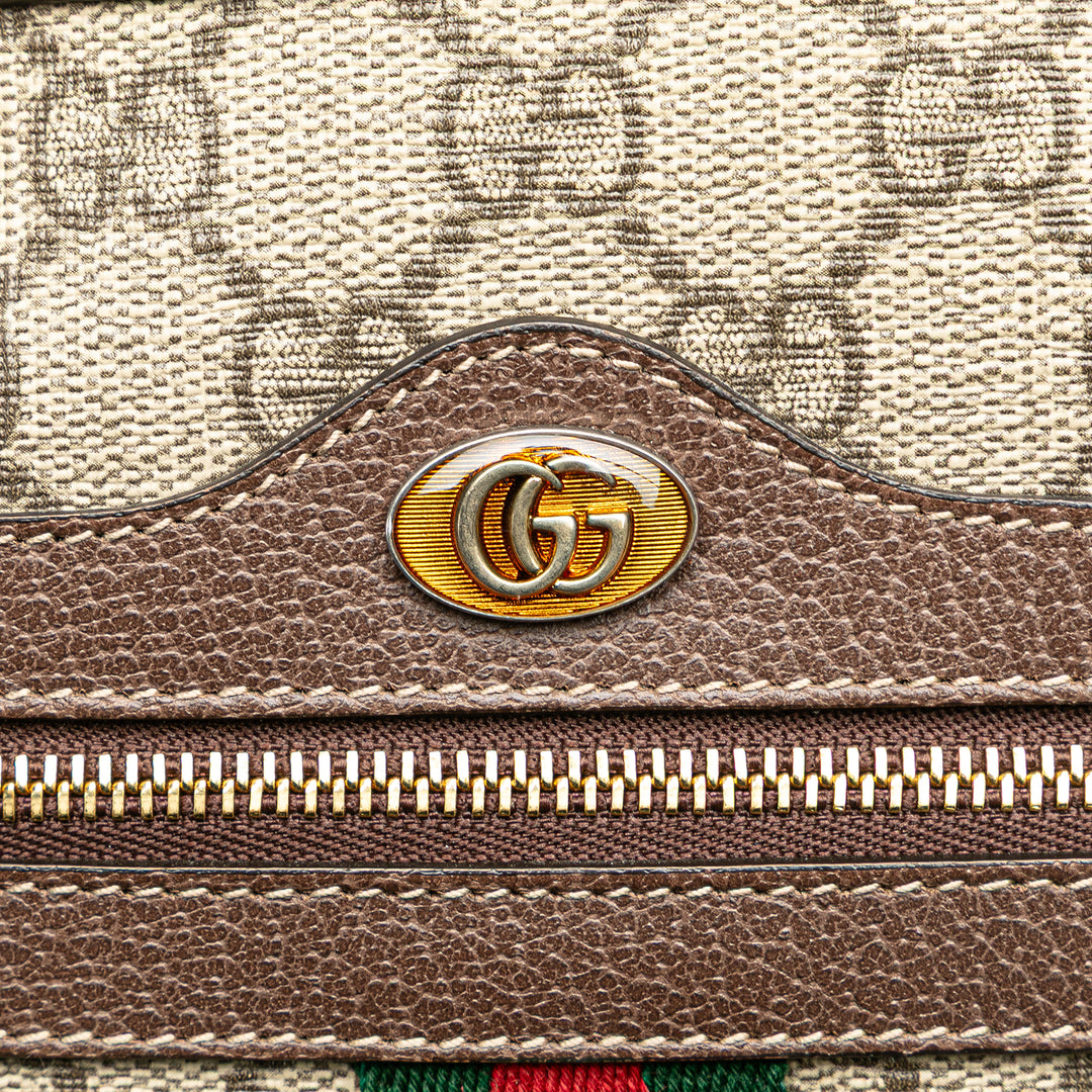 Large GG Supreme Ophidia Web Clutch Brown - Gaby Paris