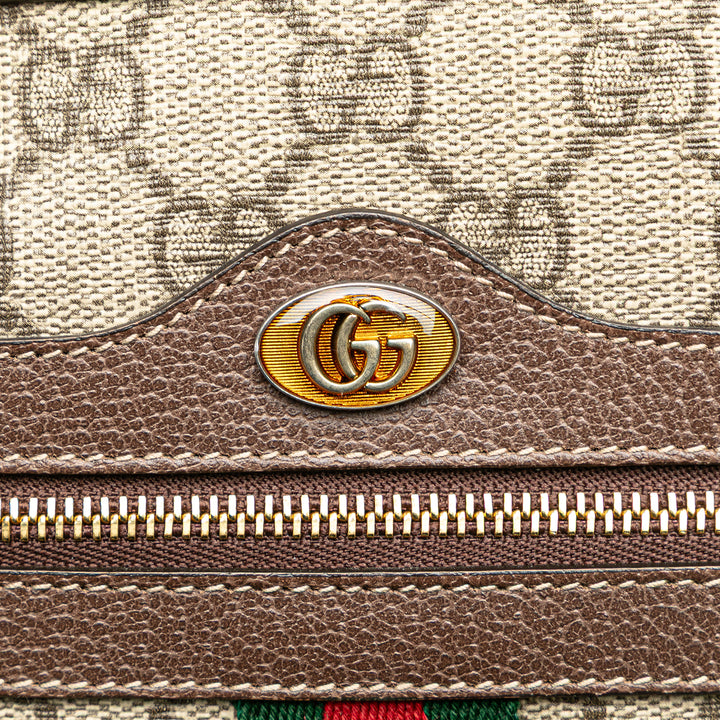 Large GG Supreme Ophidia Web Clutch Brown - Gaby Paris