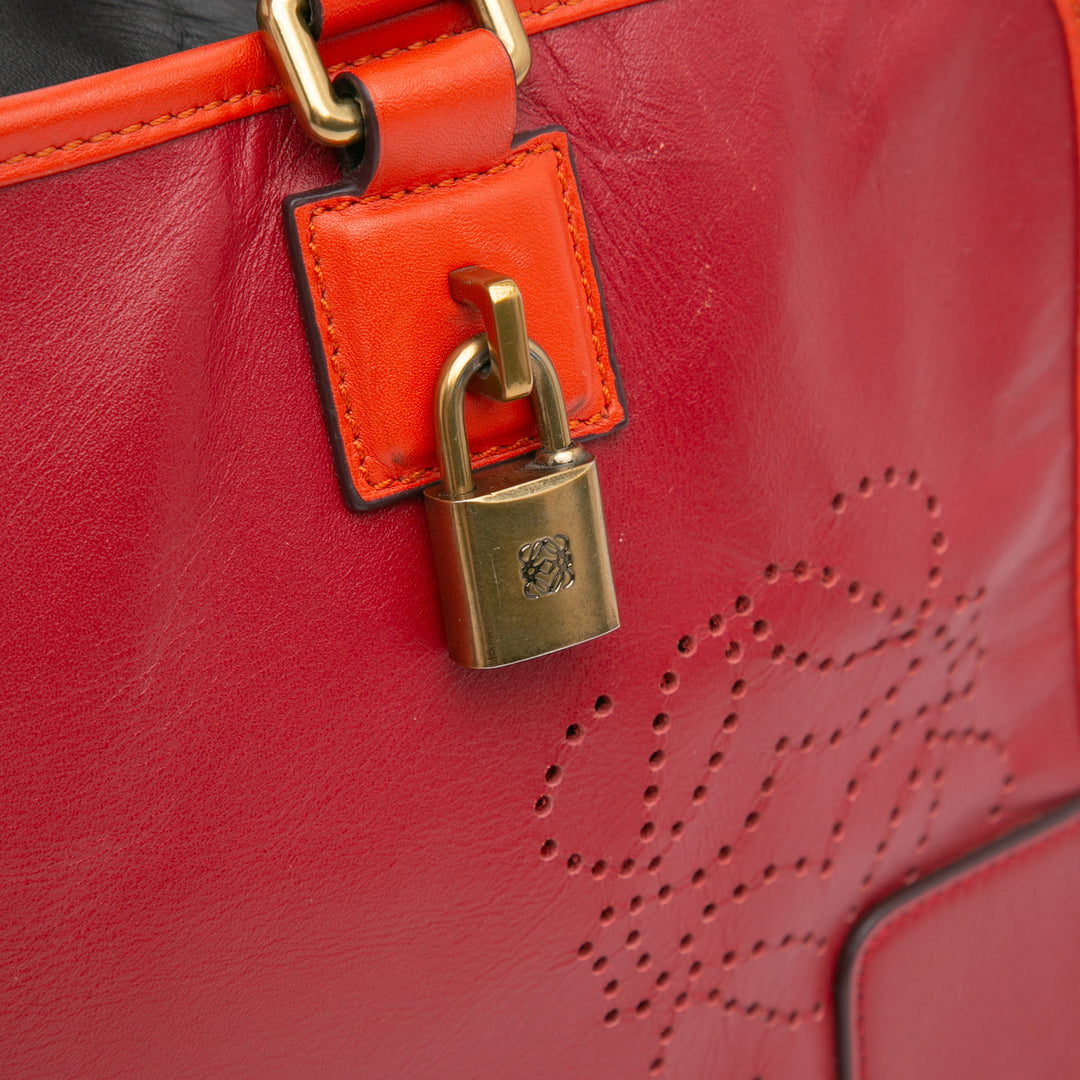 LOEWE Tricolor Cuir Amazona 36