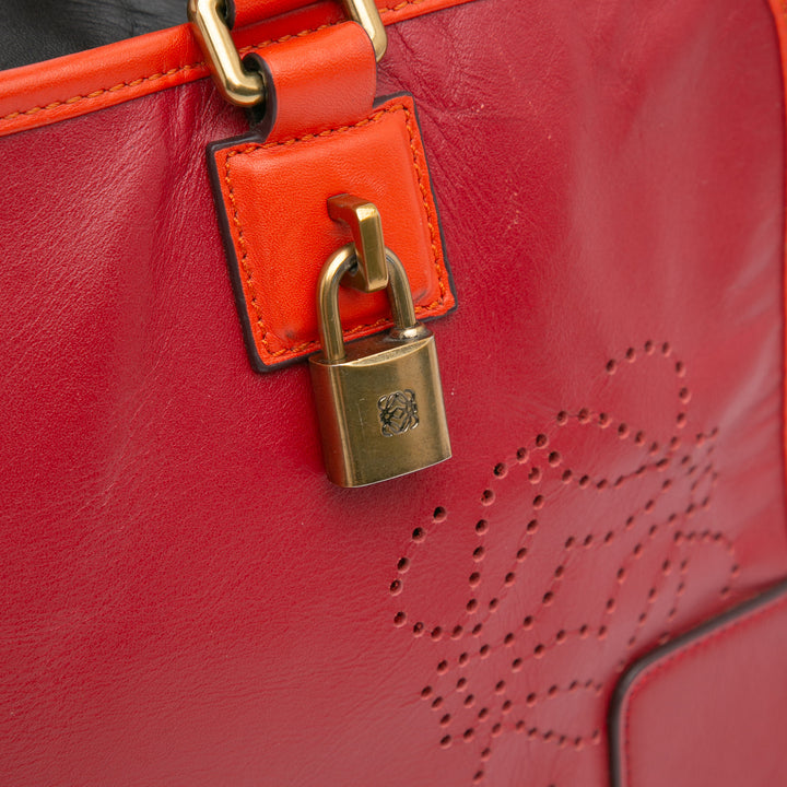 LOEWE Tricolor Cuir Amazona 36