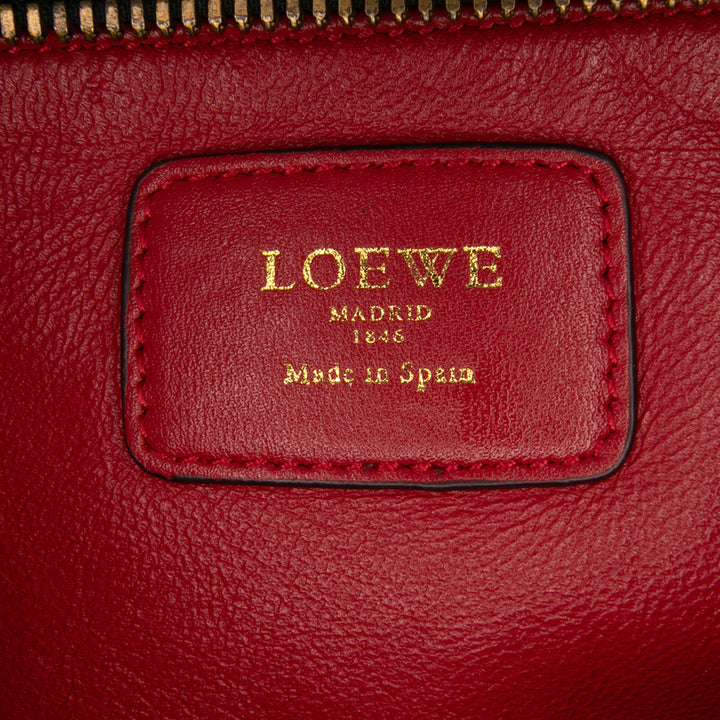LOEWE Tricolor Cuir Amazona 36