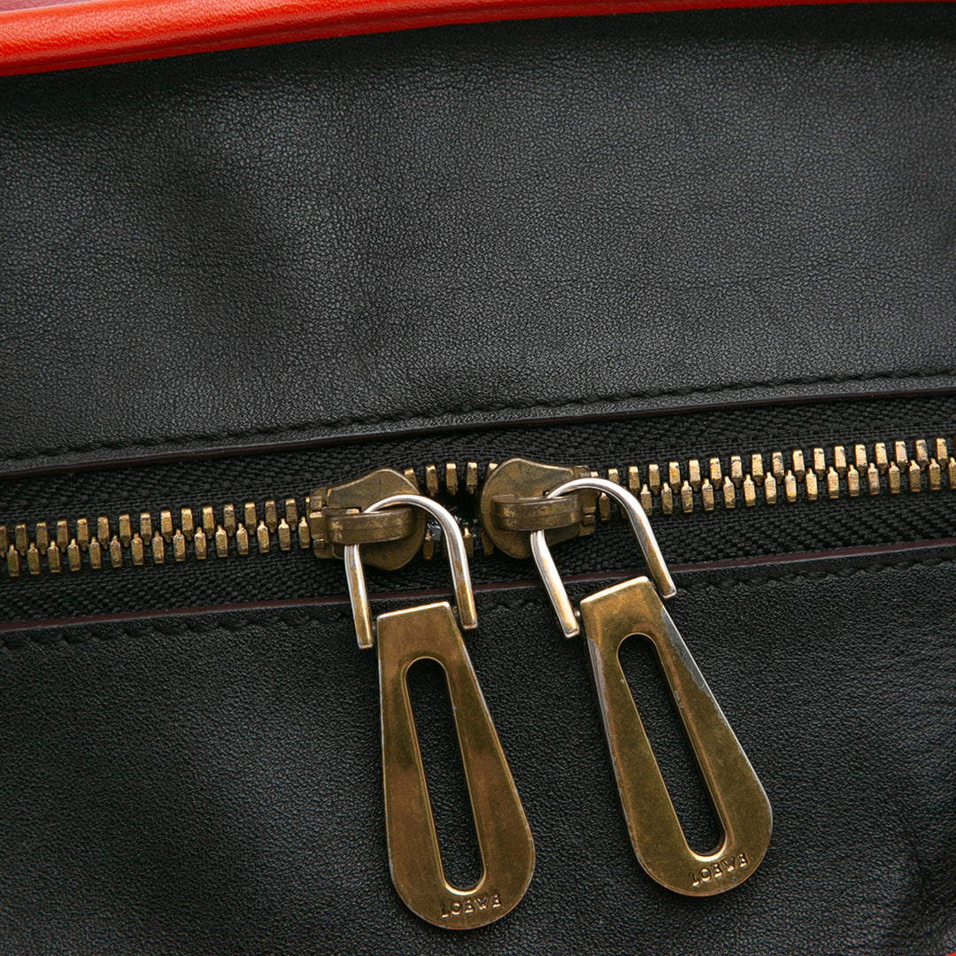 LOEWE Tricolor Cuir Amazona 36