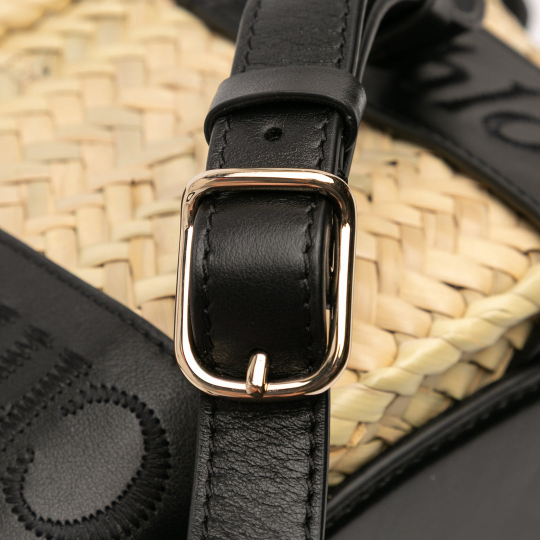 Chloé Small Raffia et Smooth Cuir de veau Sense Basket Cabas