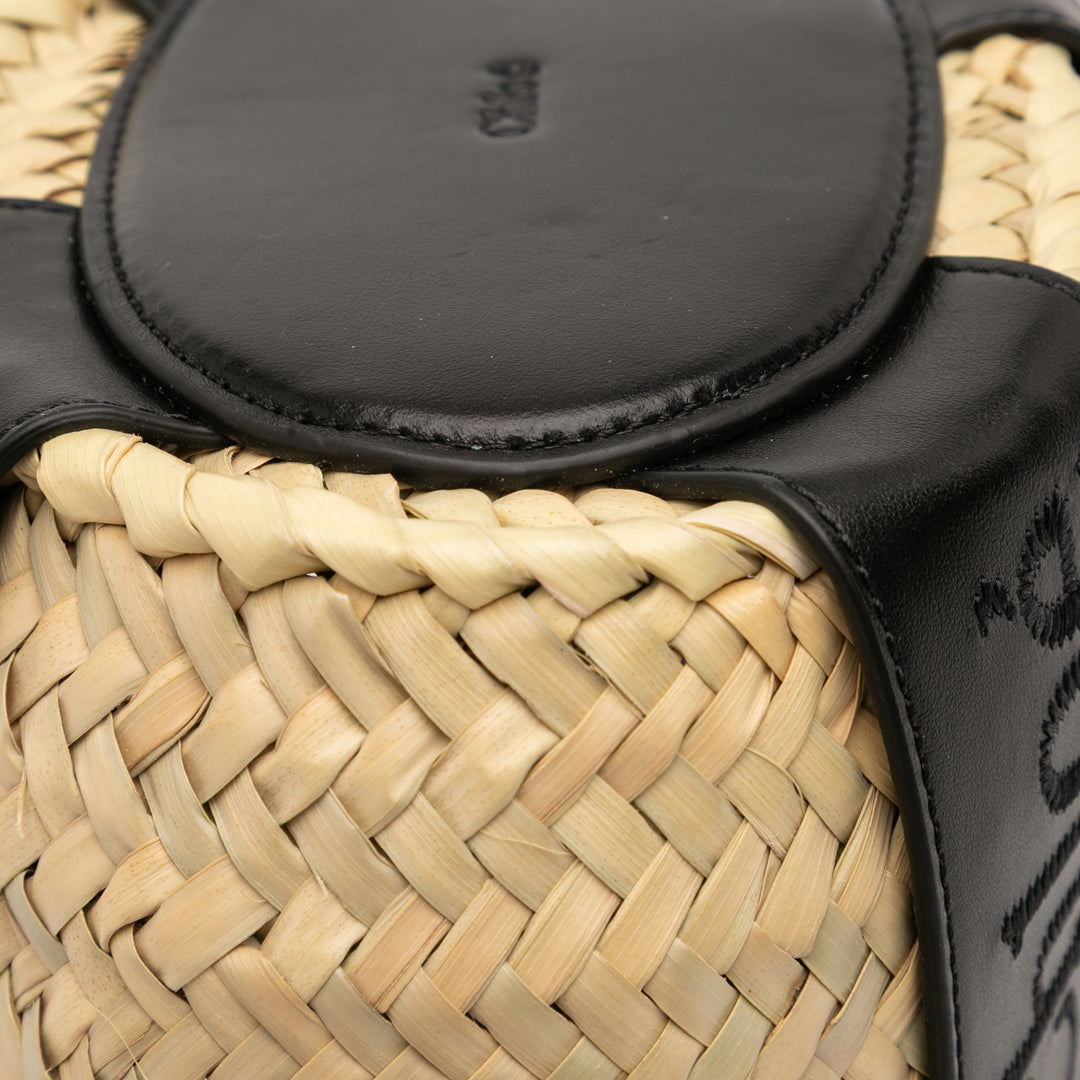 Chloé Small Raffia et Smooth Cuir de veau Sense Basket Cabas
