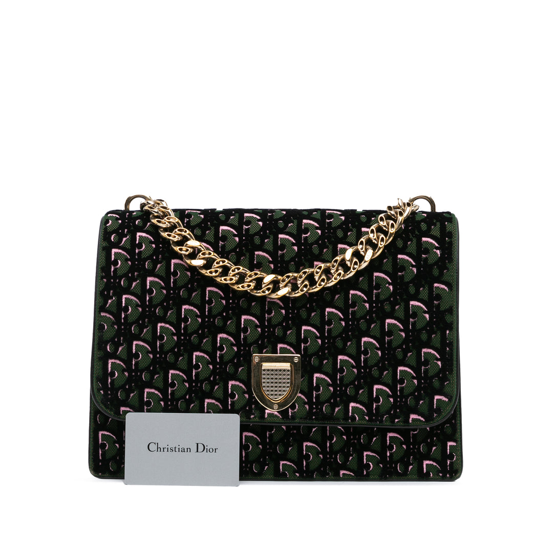 Oblique Velvet Diorama Satchel Green - Gaby Paris