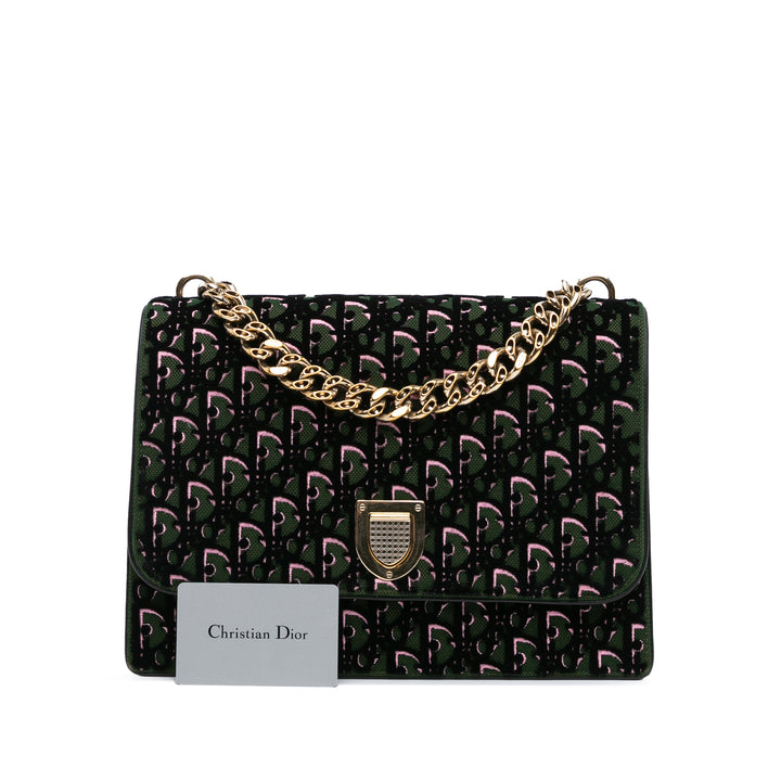 Oblique Velvet Diorama Satchel Green - Gaby Paris