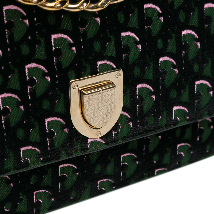 Oblique Velvet Diorama Satchel Green - Gaby Paris