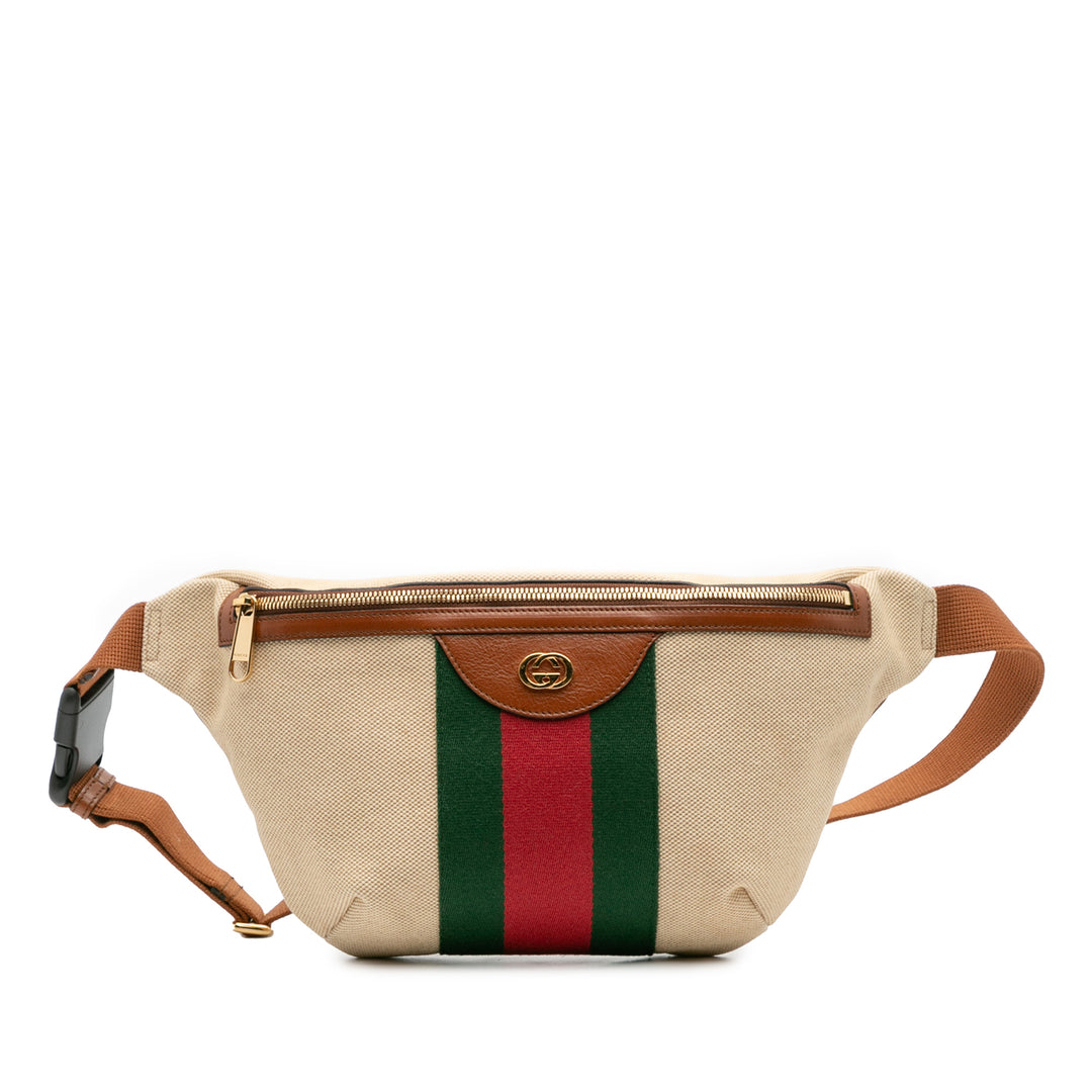 Canvas Web Belt Bag Brown - Gaby Paris