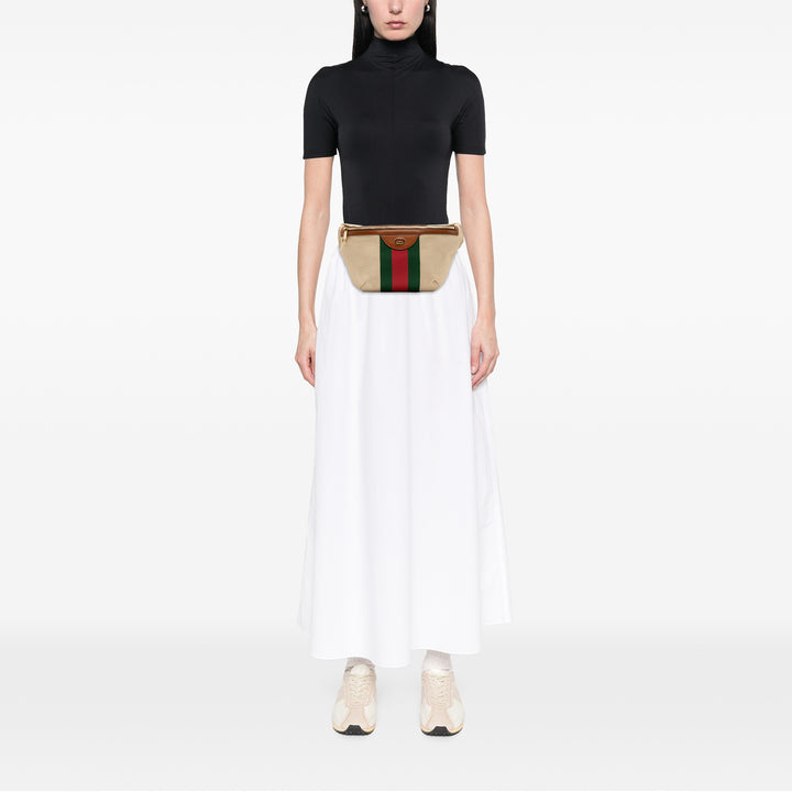 Canvas Web Belt Bag Brown - Gaby Paris