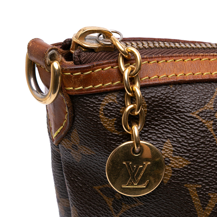 Monogram Palermo PM Brown - Gaby Paris