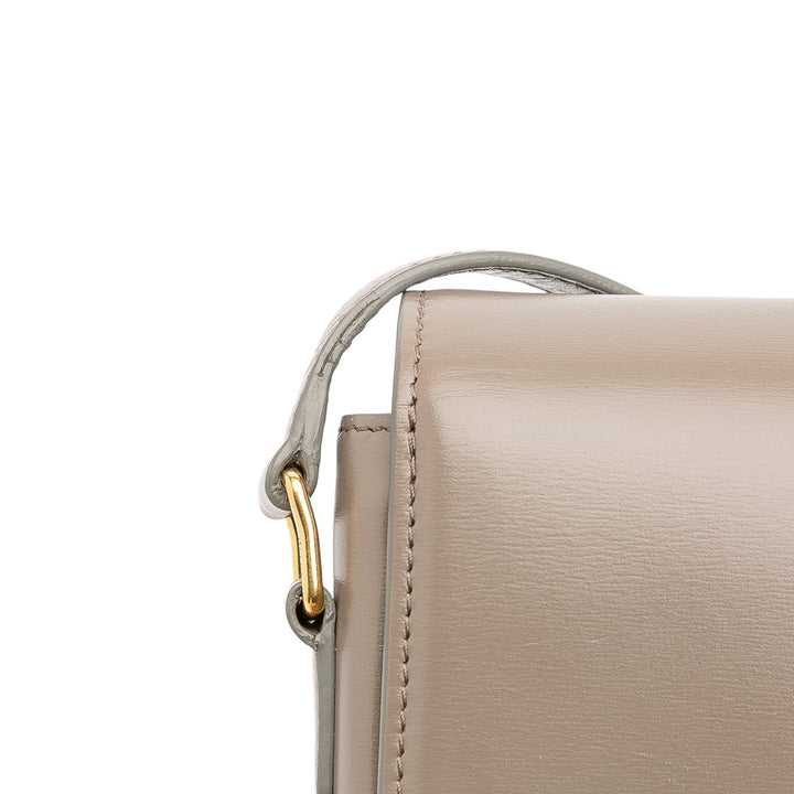 Celine Teen Shiny Cuir de veau Triomphe Crossbody Marron – GABY PARIS Authentique