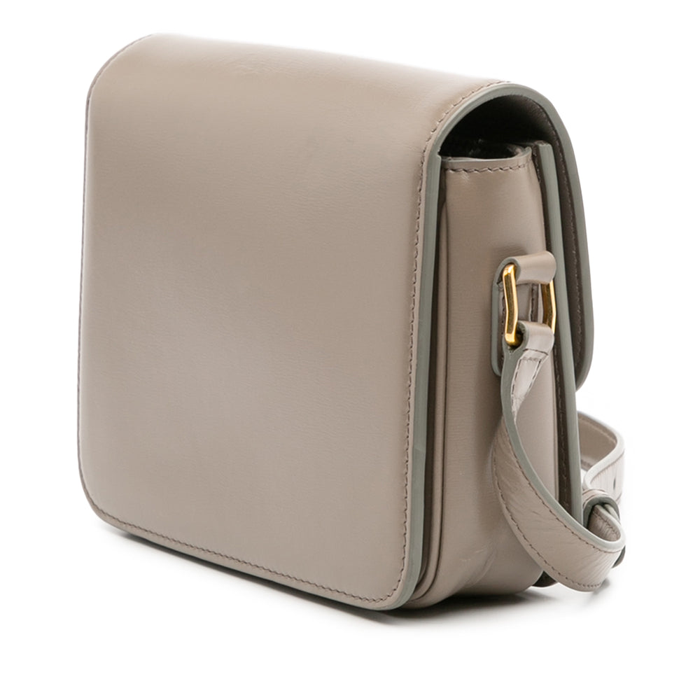 Celine Teen Shiny Cuir de veau Triomphe Crossbody Marron – GABY PARIS Authentique