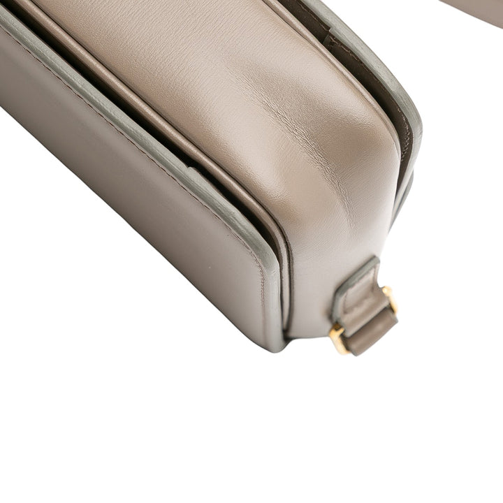 Celine Teen Shiny Cuir de veau Triomphe Crossbody Marron – GABY PARIS Authentique