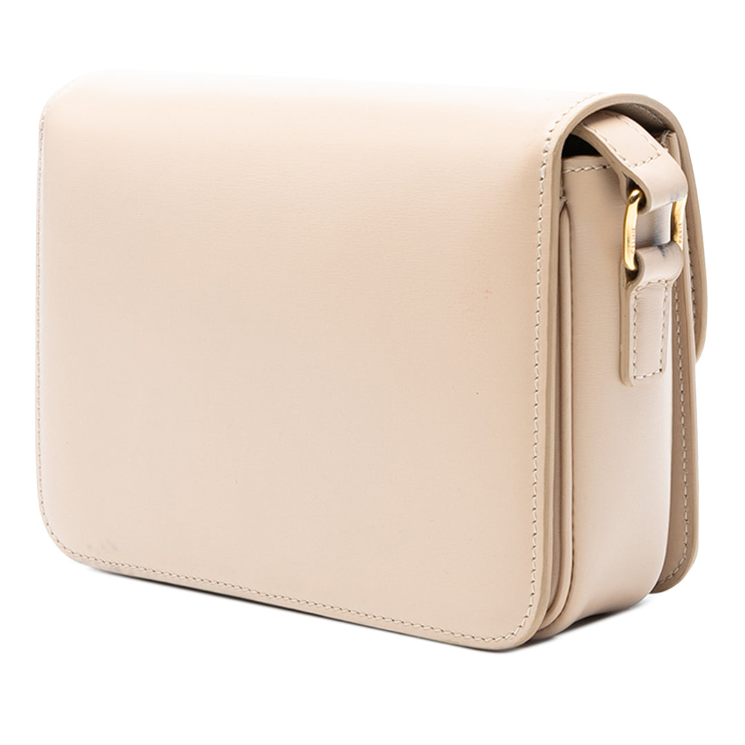 Celine Teen brillant Cuir de veau Triomphe Sac porté croisé – GABY PARIS Authentique